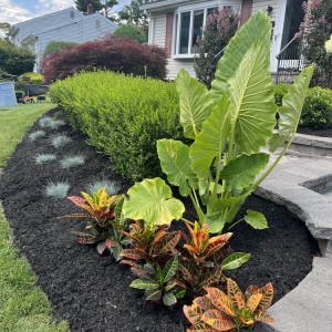 Photo of Cosmo Landscaping Design and Construction