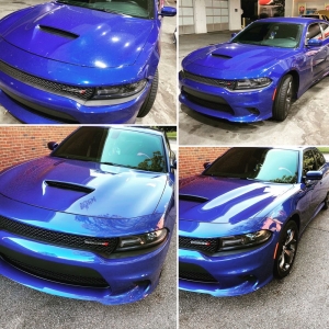 Photo of Omega Auto Detail