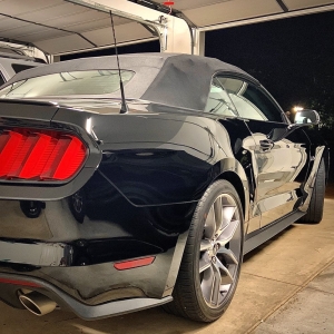Photo of Omega Auto Detail
