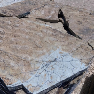 Photo of Garza Masonry Stone