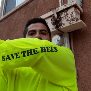 Photo of Ay Caramba Live bee removals and Professional services