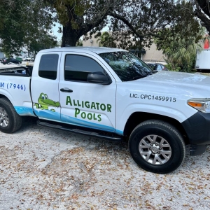 Miami Alligator Pool Services