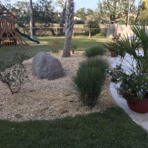 Photo of Trusted Roots