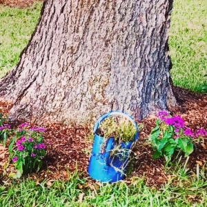 Photo of Trusted Roots