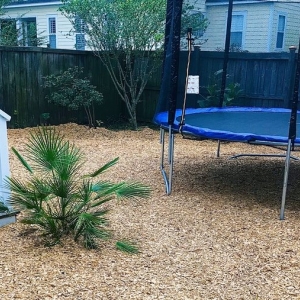 Photo of Trusted Roots