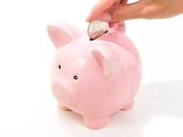 Photo of Palmetto Preferred Insurance