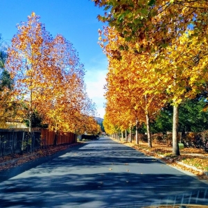 Photo of Grayson Community Management