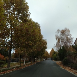Photo of Grayson Community Management
