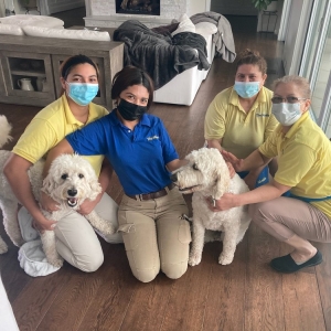 Photo of The Maids of Alexandria, Arlington and DC