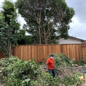 Photo of Eson's Lawn and Yard Service
