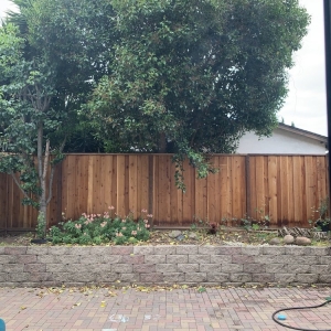 Photo of Eson's Lawn and Yard Service