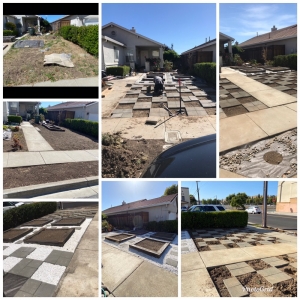 Photo of Eson's Lawn and Yard Service