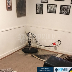 Photo of FDP Mold Remediation