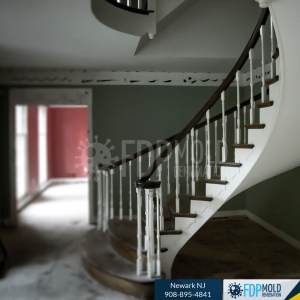 Photo of FDP Mold Remediation
