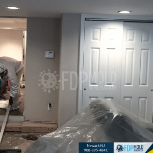 Photo of FDP Mold Remediation