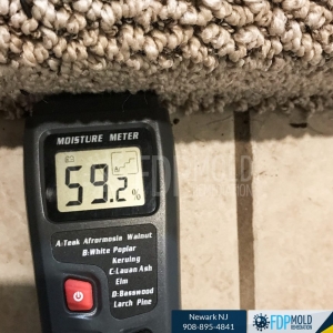 Photo of FDP Mold Remediation