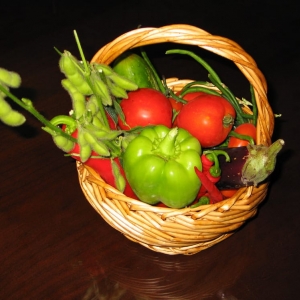 Photo of Edible Landscapes