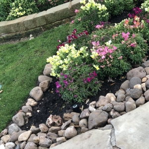 Round Rock R&S Landscape