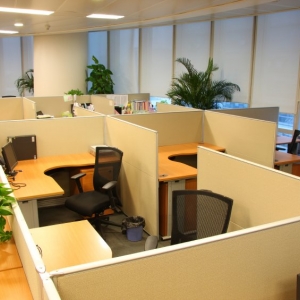 Photo of First Coast Movers