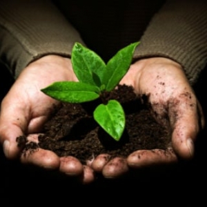 Photo of 3-Point Virtual Services LLC