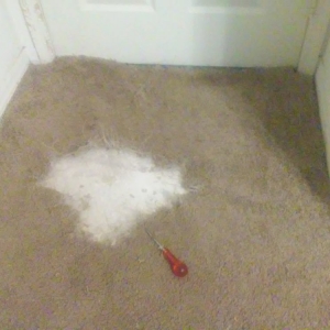 Photo of Carpets by Jonah