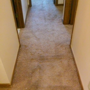 Photo of Carpets by Jonah