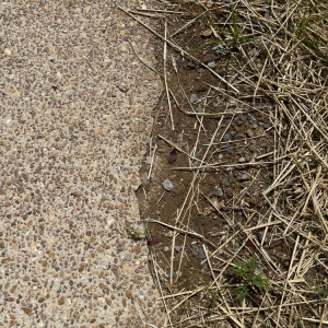 Photo of Madewell Concrete - Nashville