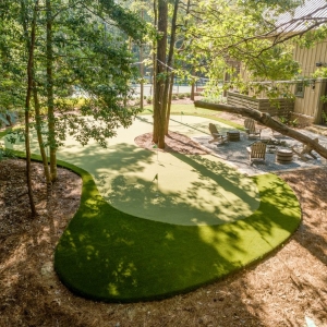 Photo of SYNLawn Seattle
