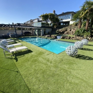Photo of SYNLawn Seattle
