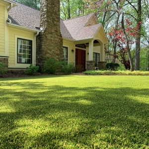 Photo of SYNLawn Seattle