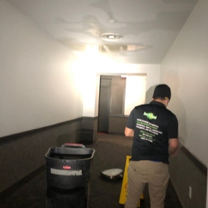 Photo of Damage Squad