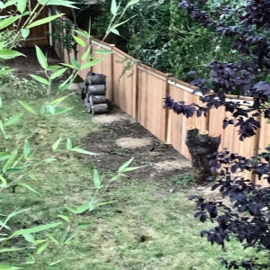 Seattle Planet Builders
