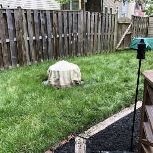 Photo of Lawn Rescue 911