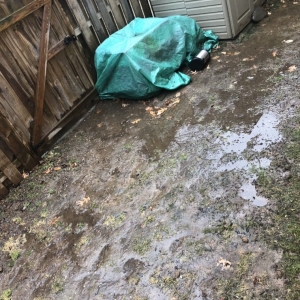 Photo of Lawn Rescue 911