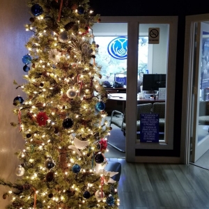 Photo of Allstate Insurance: Tarla Bapodra