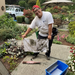 Woodinville Window Cleaning & More