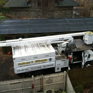 Photo of Andrew F. Gillespie Tree Service, Landscape Design & Install