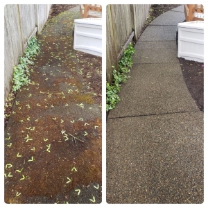 Photo of Squeegee Clean