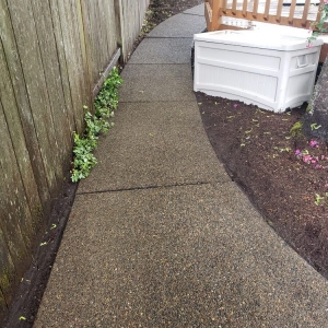 Photo of Squeegee Clean