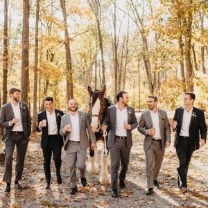 Murfreesboro Saddle Woods Farm