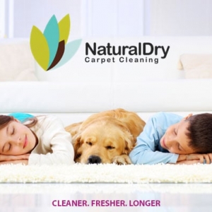 Photo of NaturalDry Carpet Cleaning