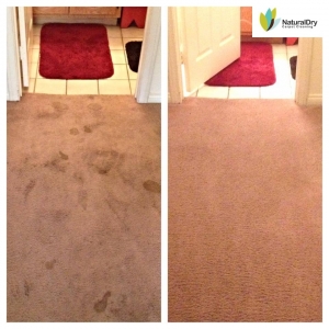 Photo of NaturalDry Carpet Cleaning