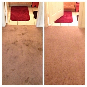 Photo of NaturalDry Carpet Cleaning