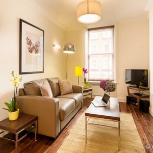 Photo of New York Habitat