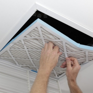 Photo of Ductx Cleaning Services