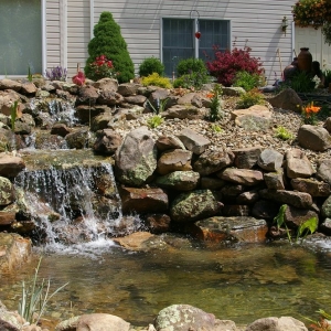 Photo of Creative Landscapes & Garden Center