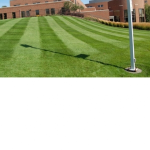 Photo of Outdoor Property Solutions