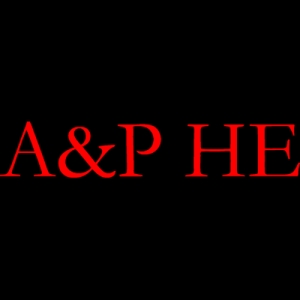 Photo of A & P Homes Electric