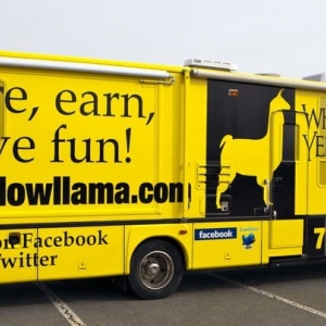 Tucker Yellow Llama