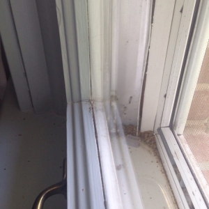 Photo of All Seasons Window Cleaning